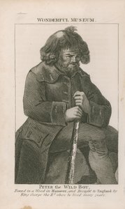 Portrait of Peter the Wild Boy by English School