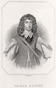 Portrait of Prince Rupert by English School
