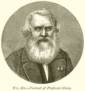 Portrait of Professor Morse by English School