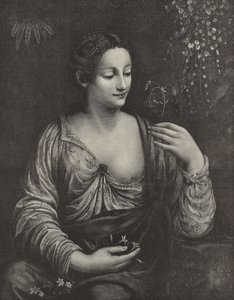 Portrait of a Young Lady