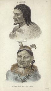 Portraits of a Copper Indian and a Rocky Mountain Indian by English School