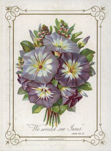 Posy of Flowers by English School