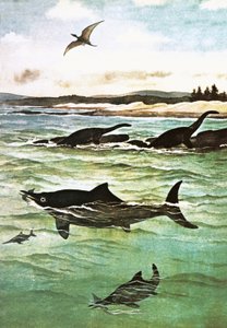 Pre-historic sea creatures by English School