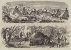 Prince Arthur in South Africa by English School