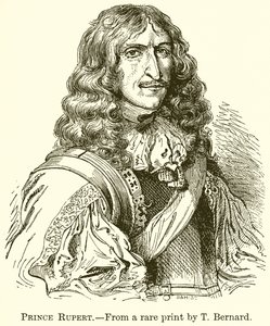 Prince Rupert by English School
