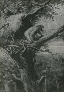 Probably Arboreal - Pictured by R L S