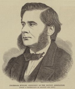 Professor Huxley, President of the British Association by English School