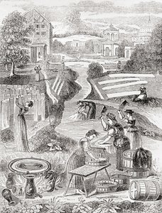 Public washing grounds