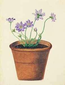 Purple Flowers in a Terracotta Pot, c.1825
