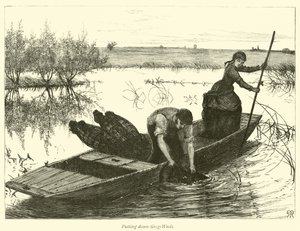 Putting down Grig-Weels by English School