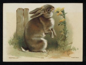 Rabbit Eating Yellow Flowers, Christmas Greetings Card by English School