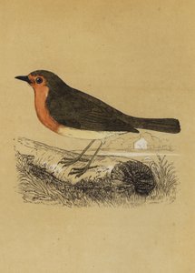 Redbreast