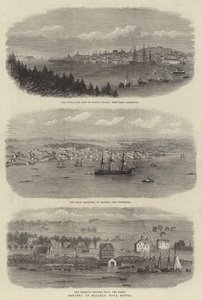 Regatta at Halifax, Nova Scotia (engraving) by English School