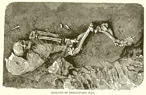 Remains of Prehistoric Man