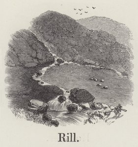 Rill by English School