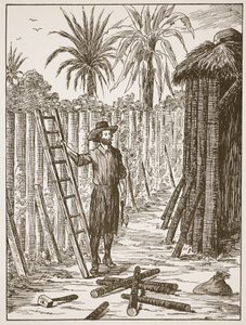 Robinson Crusoe building his bower, illustration from The Story of Robinson Crusoe: An adaptation for children following Defoe