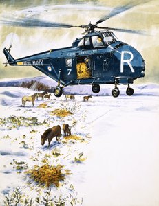 Royal Navy Helicopter Used for Animal Rescue
