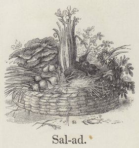 Salad