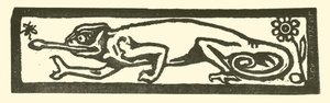 Salamander