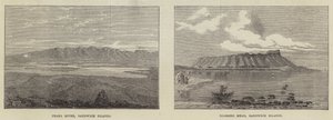 Sandwich Islands by English School