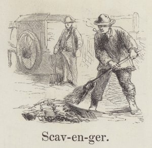 Scavenger by English School