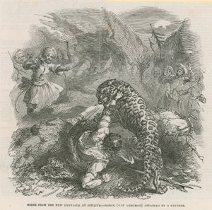 Scene from the new spectacle at Astleys - Morok (Van Amburgh) attacked by a panther