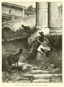 Scene in the ruins of the Temple of Vespasian