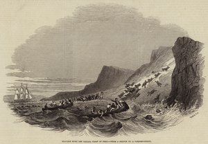 Sea-Lion Hunt off Callao, Coast of Peru (engraving) by English School