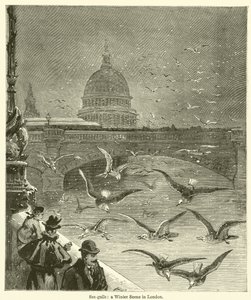 Sea-gulls, a Winter Scene in London by English School