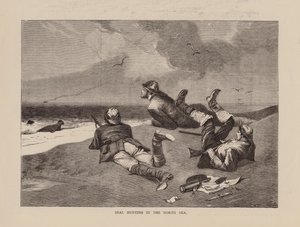 Seal Hunting in the North Sea
