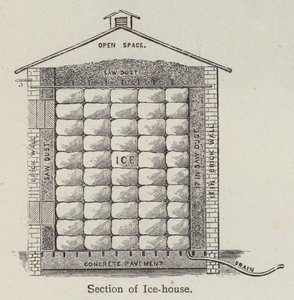 Section of Ice-house by English School