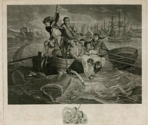 Shark Attack by English School