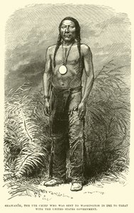 Shawanoh, the Ute Chief who was sent to Washington in 1863 to treat with the United States Government