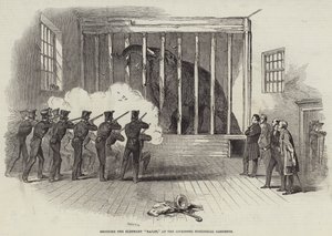 Shooting the Elephant 