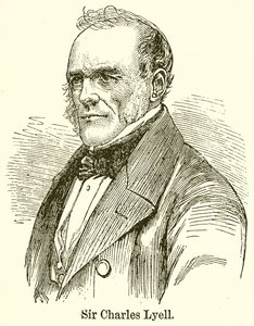 Sir Charles Lyell by English School