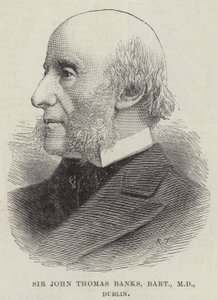Sir John Thomas Banks, Baronet, MD, Dublin by English School