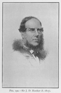 Sir Joseph Dalton Hooker (1817-1911), portrait by English School