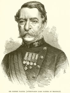 Sir Robert Napier (Afterwards Lord Napier of Magdala) by English School