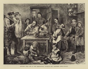 Sketches from Life in the Agricultural Districts, the Labourer