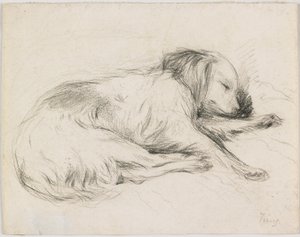 Sleeping Dog, c.1840 by English School