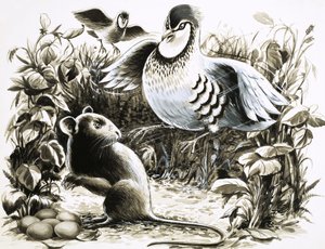 Slumm the rat believes he is in luck when he finds some Partridge eggs
