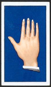 Smooth Pointed Finger Hands by English School