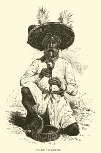 Snake Charmer