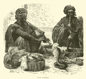 Snake Charmers by English School