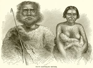South Australian Natives by English School
