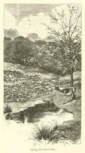 Spring, Richmond Park by English School