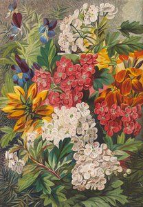 Spring Flowers by English School