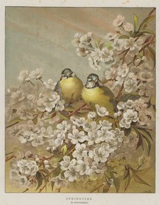 Springtime by English School