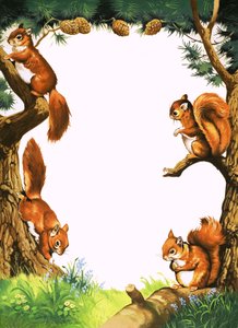 Squirrels
