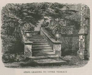 Steps Leading to Upper Terrace, Holland House by English School